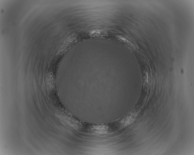 X0000070400659200606231804