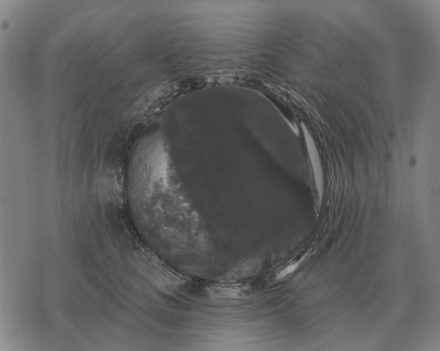 X0000070400661200606231804