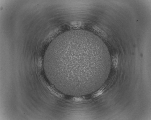 X0000070400662200606231804