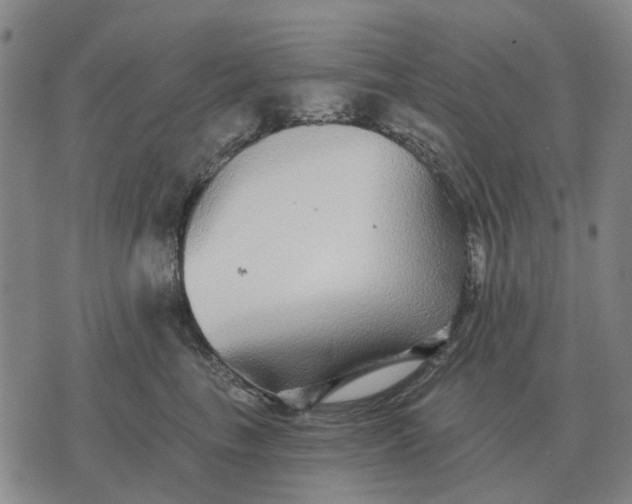 X0000070400665200606231804