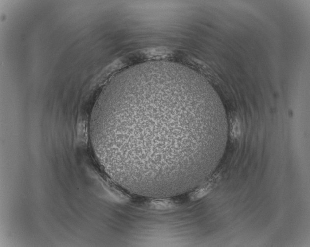 X0000070400666200606231804