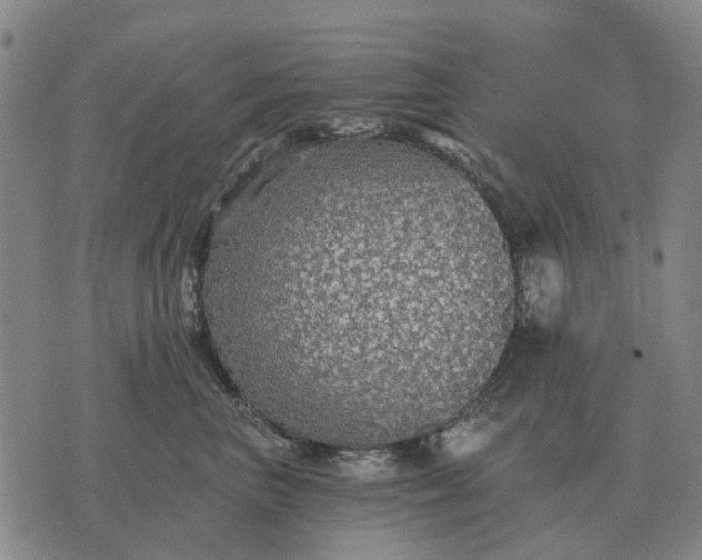 X0000070400667200606231804