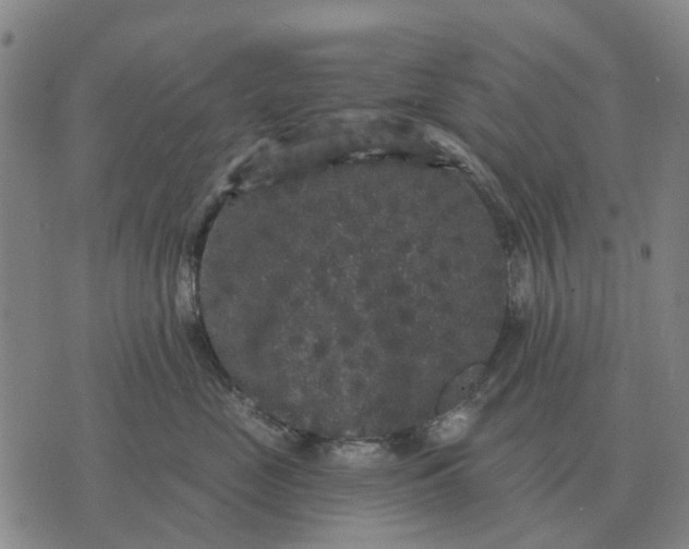 X0000070400669200606231804