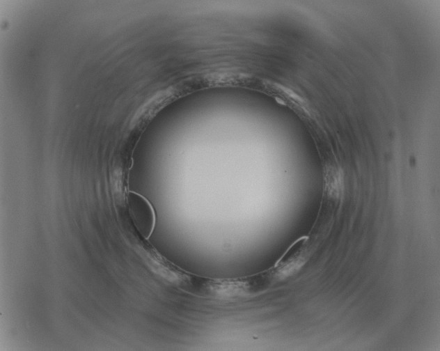 X0000070400670200606231804