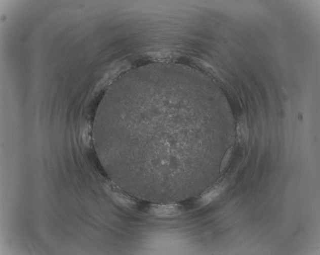 X0000070400671200606231804