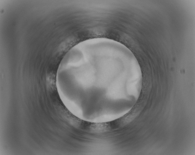 X0000070400672200606231804