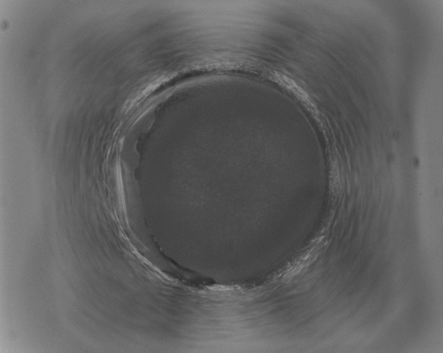 X0000070400673200606231803