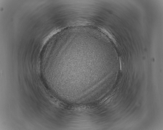 X0000070400675200606231803