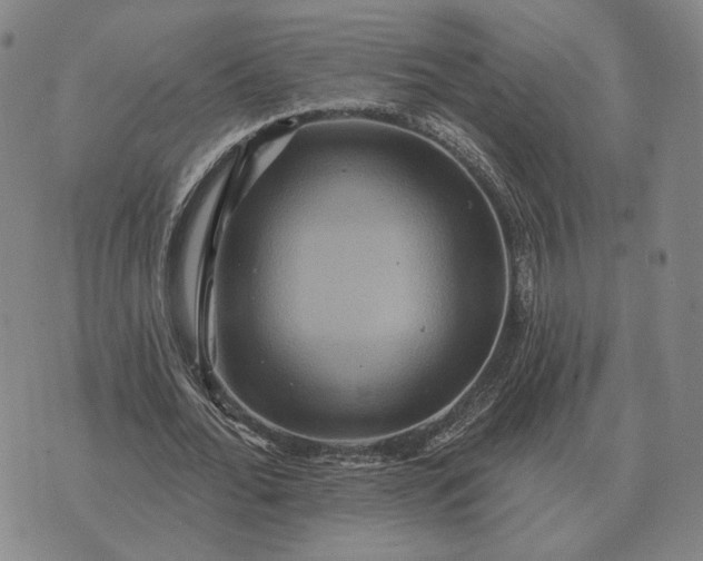 X0000070400676200606231803