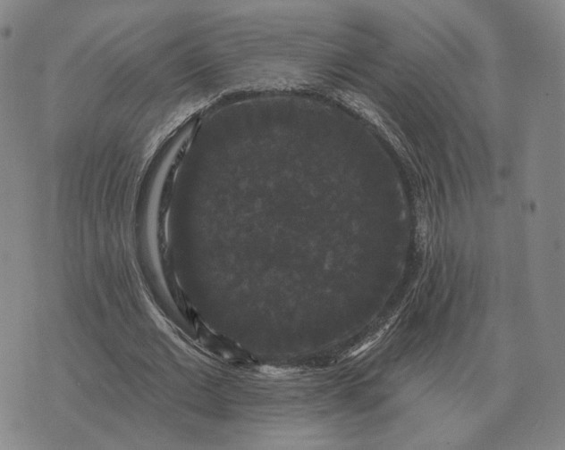 X0000070400677200606231803