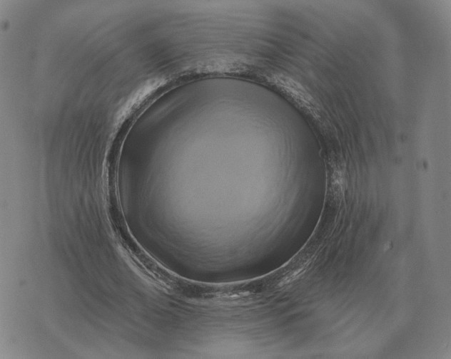 X0000070400678200606231803