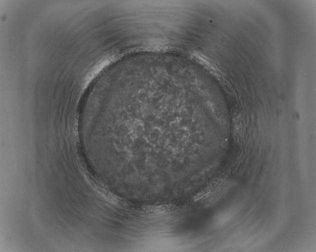 X0000070400679200606231803