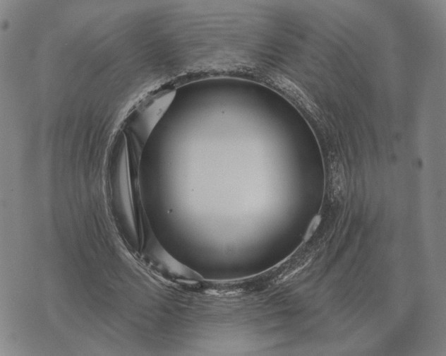 X0000070400680200606231803