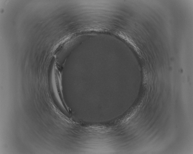 X0000070400681200606231803