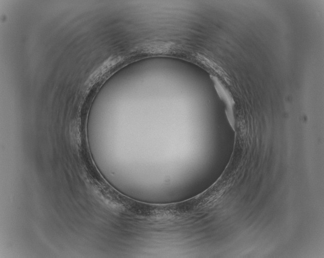 X0000070400682200606231803