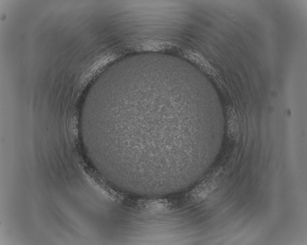 X0000070400683200606231803