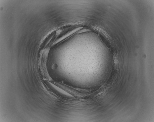 X0000070400684200606231803