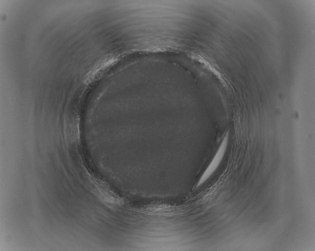 X0000070400685200606231803