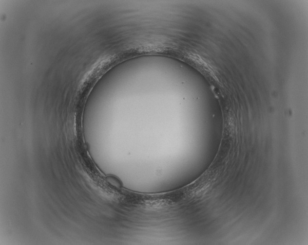 X0000070400686200606231803