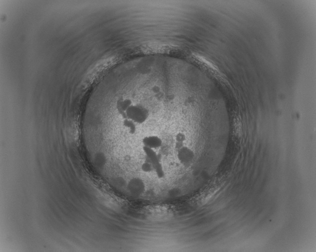 X0000070400687200606231803