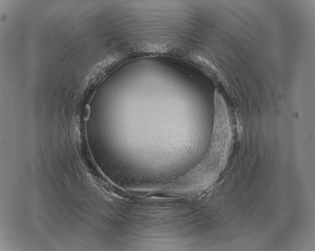 X0000070400688200606231803