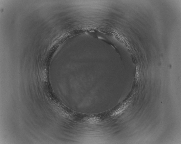 X0000070400689200606231803