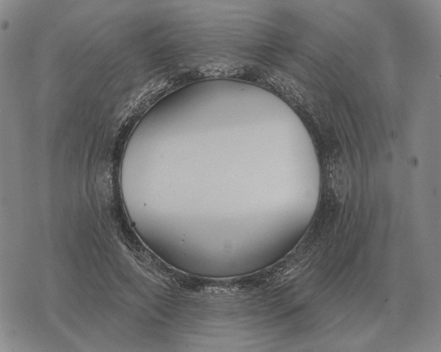 X0000070400690200606231803