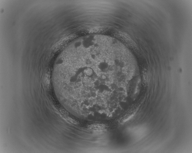 X0000070400691200606231803