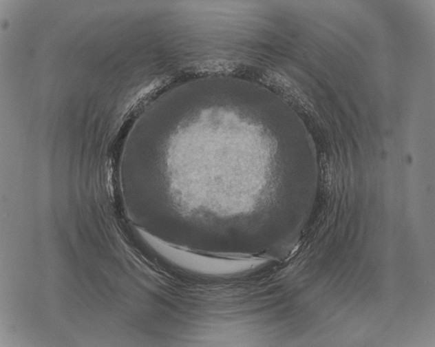 X0000070400692200606231803