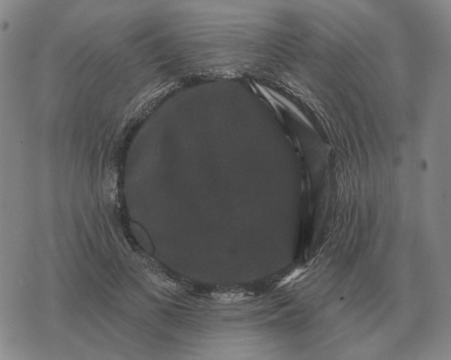 X0000070400693200606231803