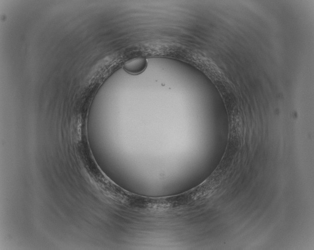 X0000070400694200606231803