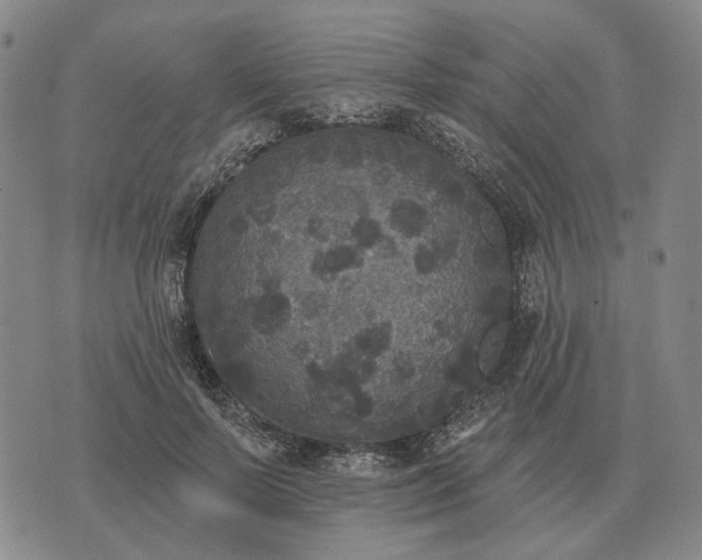 X0000070400695200606231803