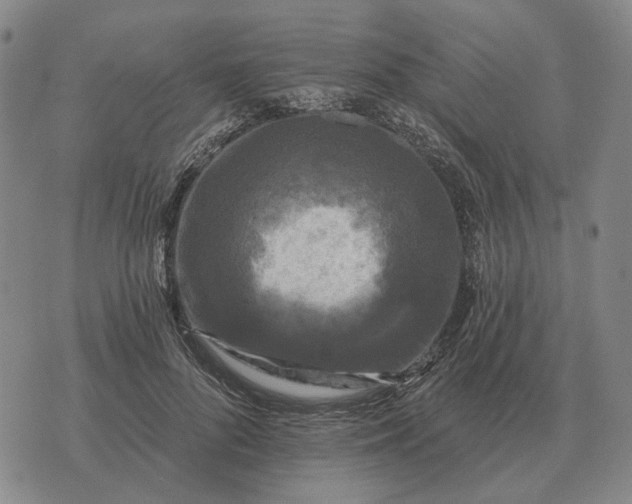 X0000070400696200606231803