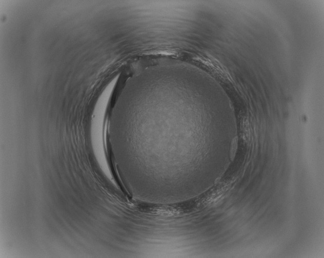 X0000070400697200606231803