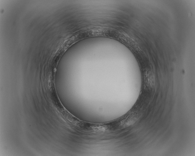 X0000070400698200606231803