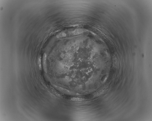 X0000070400699200606231803