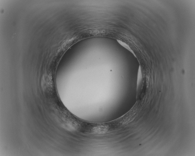 X0000070400700200606231803