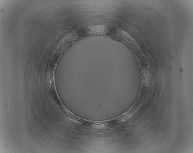 X0000070400701200606231803