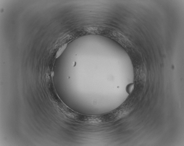 X0000070400702200606231803