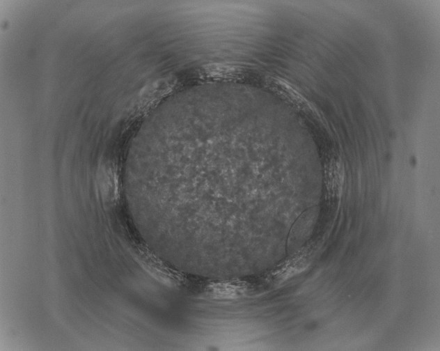 X0000070400703200606231803