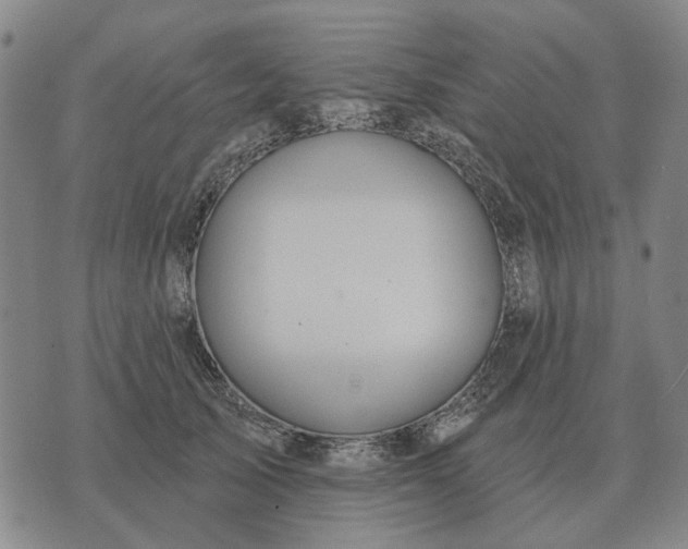 X0000070400705200606231803