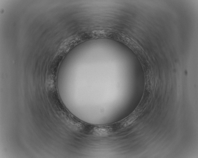 X0000070400706200606231803