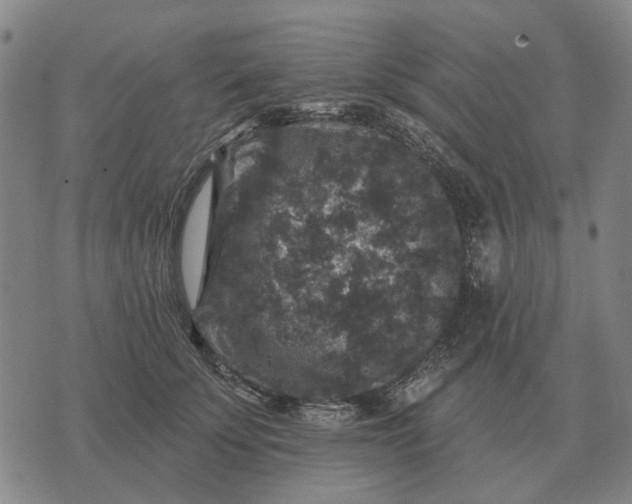 X0000070400707200606231803