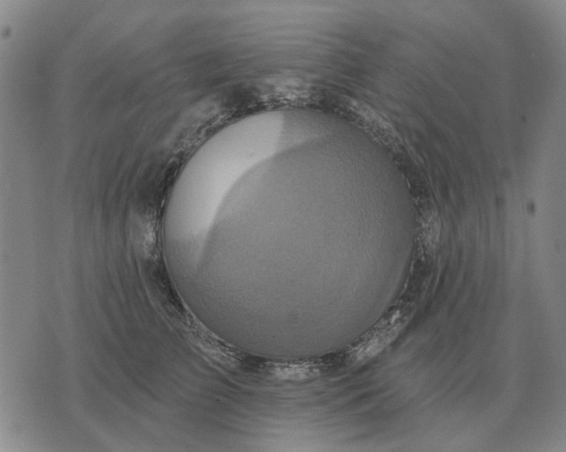 X0000070400709200606231802