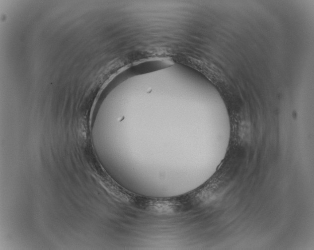 X0000070400710200606231802