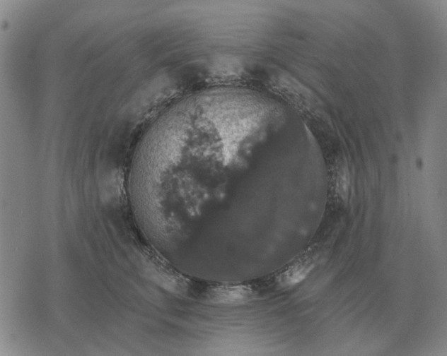 X0000070400711200606231802