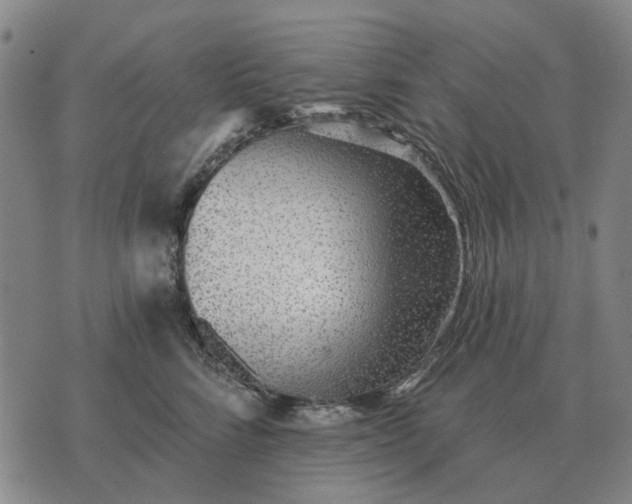 X0000070400712200606231802