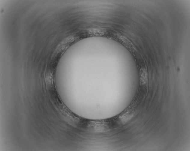 X0000070400713200606231802