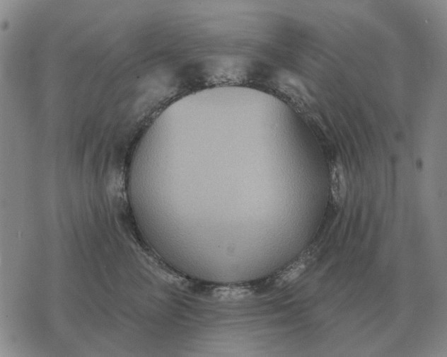 X0000070400714200606231802