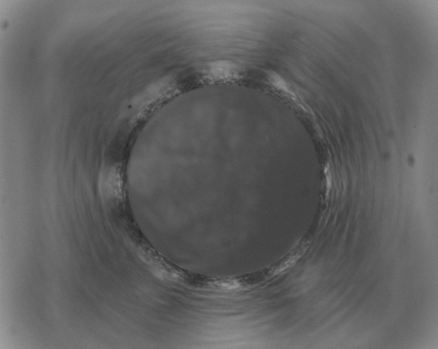 X0000070400715200606231802